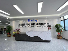 Hersteller von Batterie-Balancer und BMS